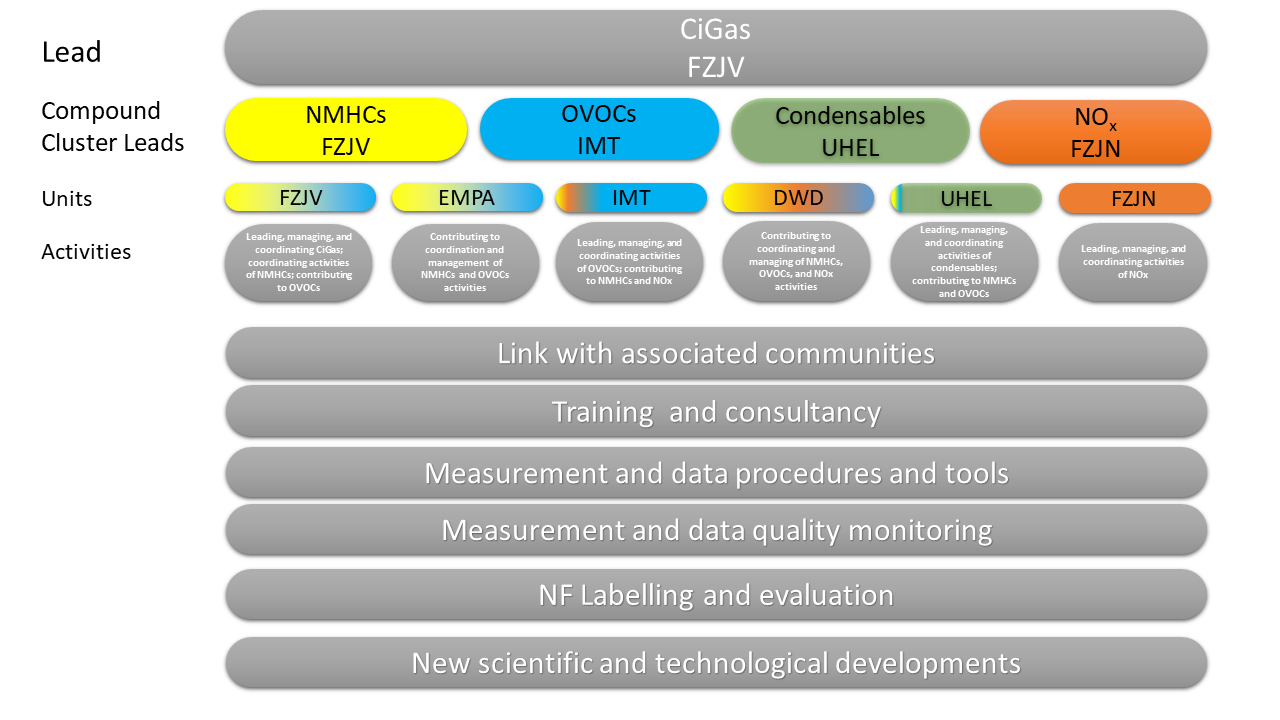 CiGas Organigram